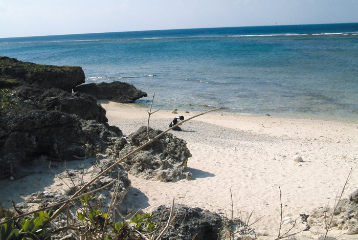 仲本海岸
