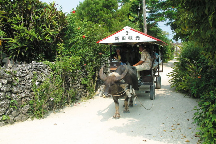 水牛車