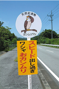 西表島 道路状況 画像1