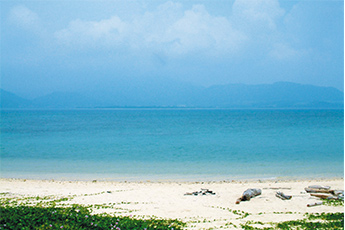 細崎(くばざき)海岸